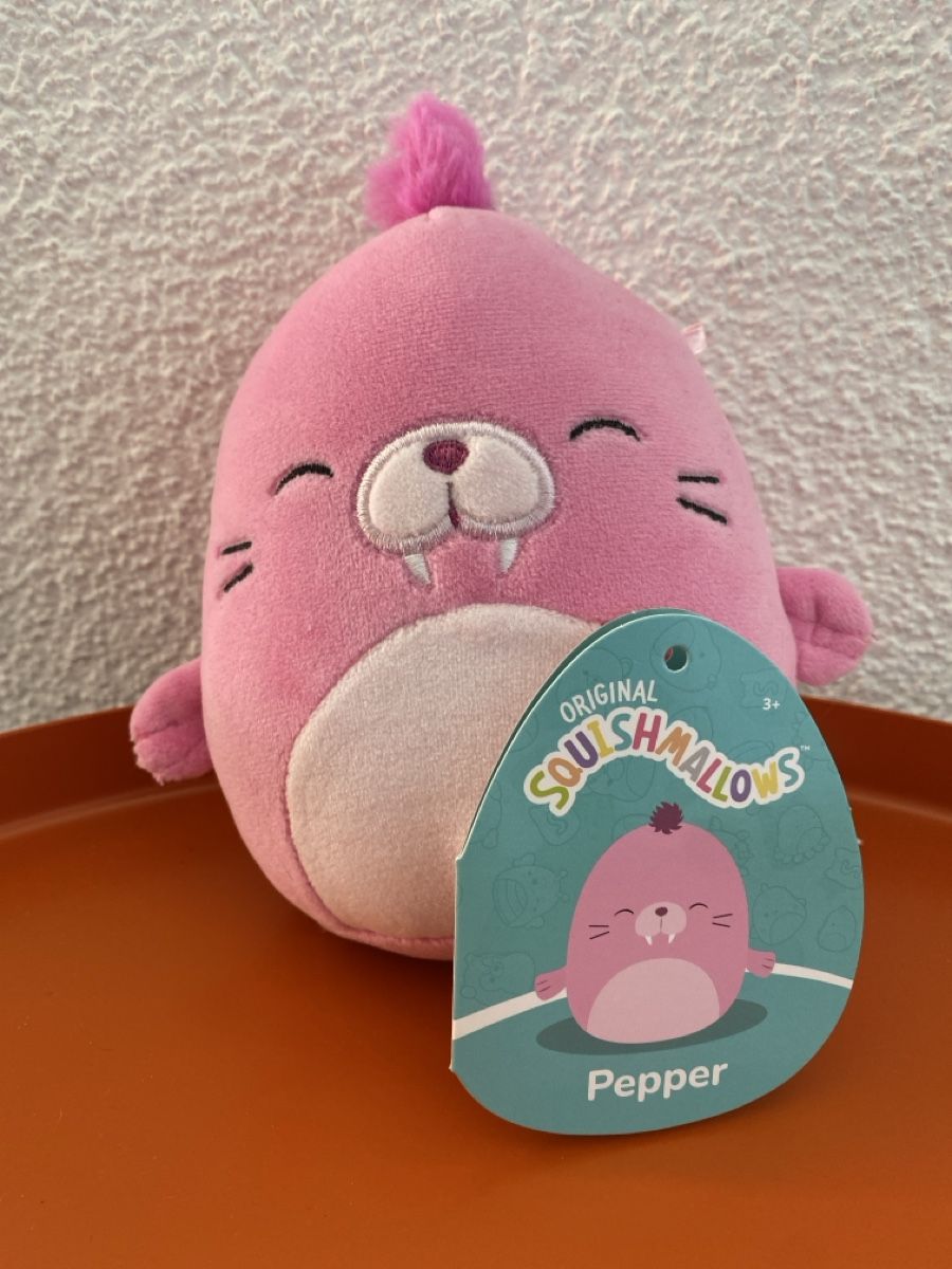 Squishmallows Giocattoli: Squishmallows Pepper NEU unbespielt – Nuovo (secondo la descrizione) da Seuzach venduto da freiheiten