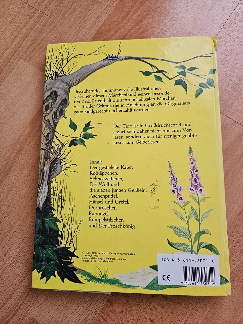 Libri: Im Märchenland nach Grimm - Kinderbuch – Usato da Ebikon venduto da SecondChance_byM 1