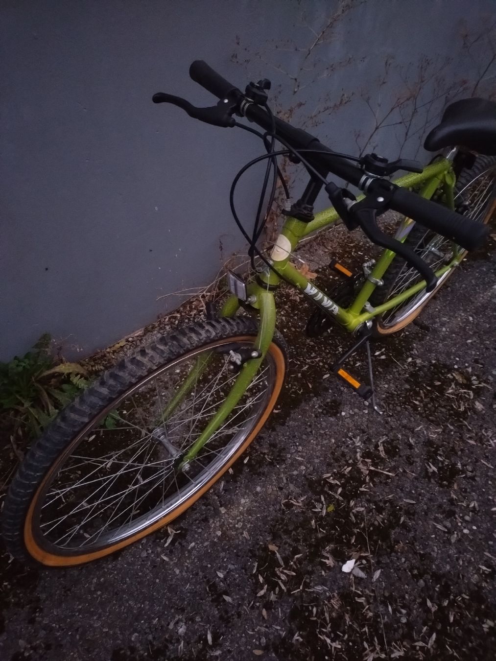Velos: VTT Viva vert Vintage  – Gebraucht aus Farvagny-le-Grand von LaCaverne 2
