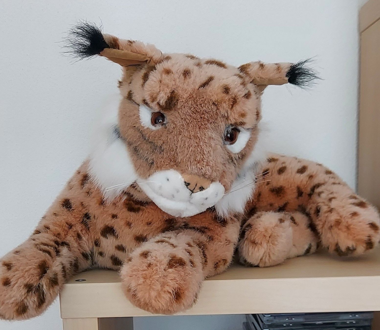 Jouets: LEOPARD – D'occasion à Steckborn par Quo7