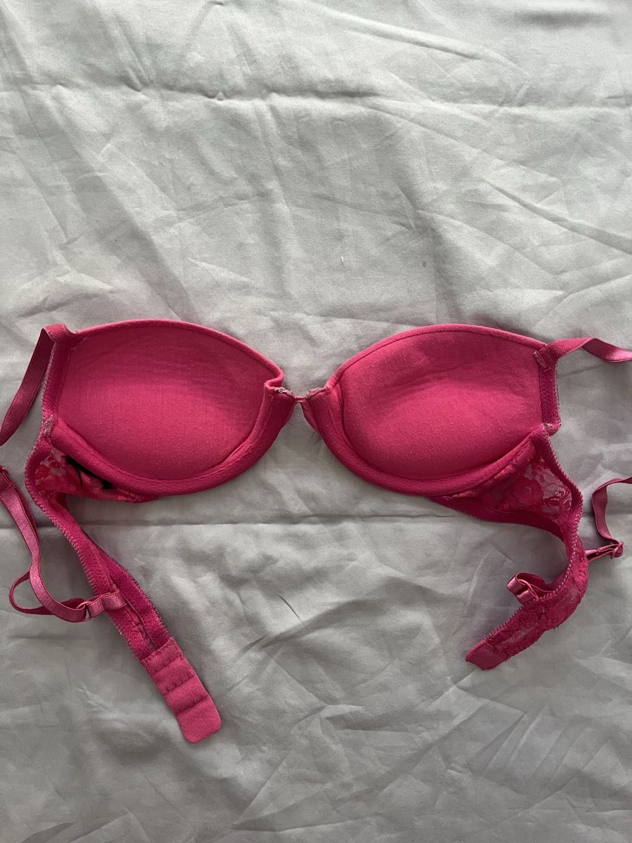 Altra biancheria intima: Fuchsia BH mit Spitze, wenig getragen – Usato da Balerna venduto da lillisfashion 1