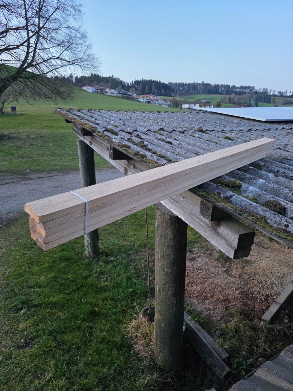 Holzartikel: Dachlatte / Holz Latte / 24/50/2500 – Neu (gemäss Beschreibung) aus Richenthal von G...Tec