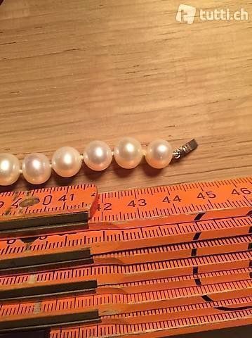 Perle (finte): Perlenkette/Collier Süsswasserzuchtperle – Nuovo (secondo la descrizione) da Lachen SZ venduto da stettnic 3