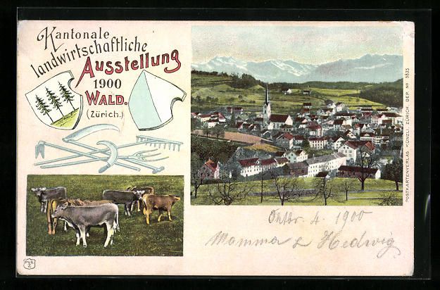 Cartoline postali: Wald, Kantonale landwirtschaftliche Auss – Usato da Berlin venduto da bartko-reher