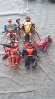Masters of the universe Konvolut