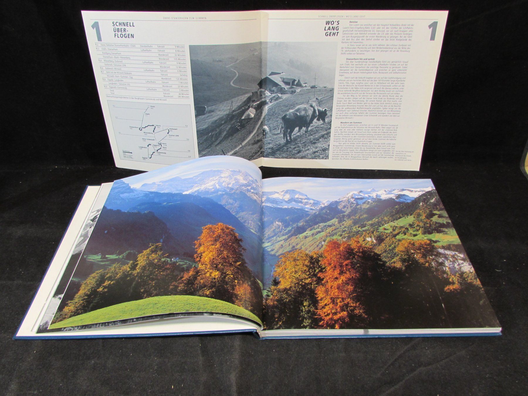 Bücher: Lot Bergbahnen Schweiz – Gebraucht aus Walchwil von Shells1 6