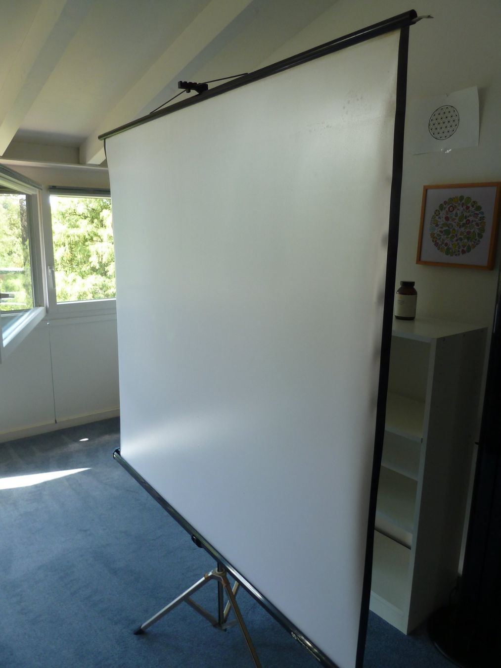 Home Cinema: Projektor /Beamer-Leinwand – Usato da Zumikon venduto da Wpt7 2
