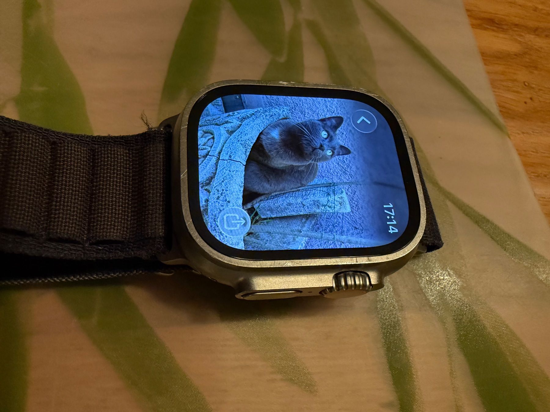 Apple Smartwatch: Apple Watch Ultra 2 – Gebraucht aus Riehen von cur_vg2y 2