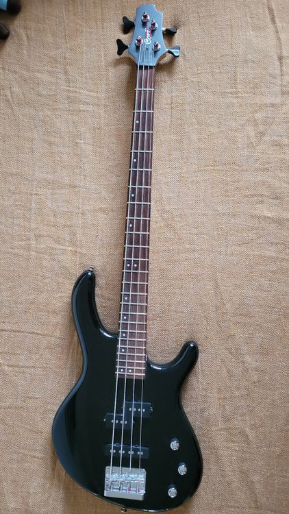 Wunderbar E Bass Kaufen Bilder