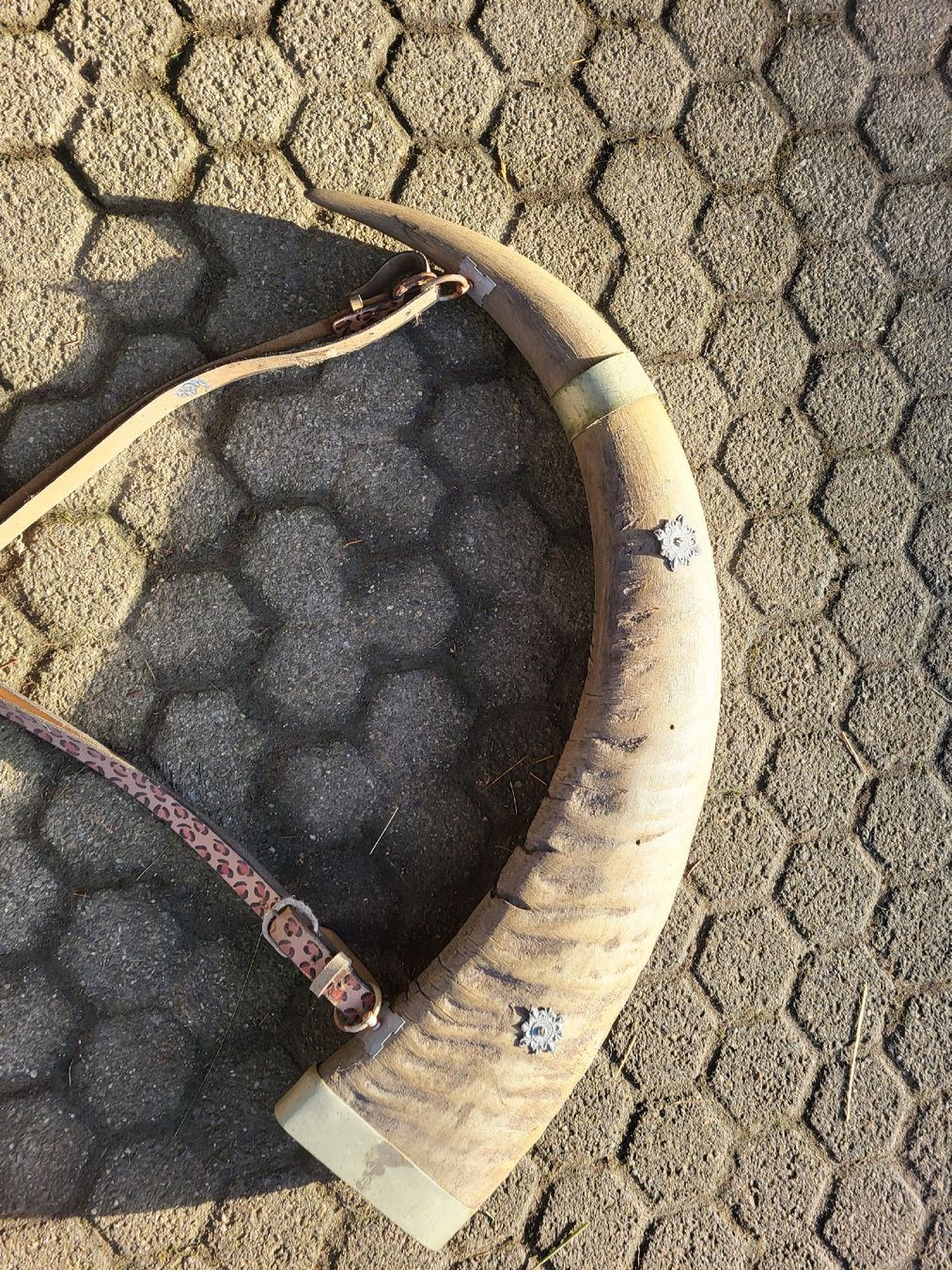 Tutte le decorazioni: Trinkhorn: Büffel oder Rind – Usato da Schönenberg ZH venduto da Samichlaus71 4