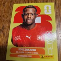 Panini26 ZAKARIA