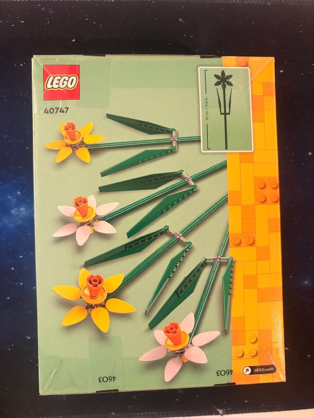 Lego Kit di costruzioni: Lego 40747 daffodils – Usato da Winterthur venduto da mic_2xkw 1