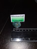 MOOSACHAT