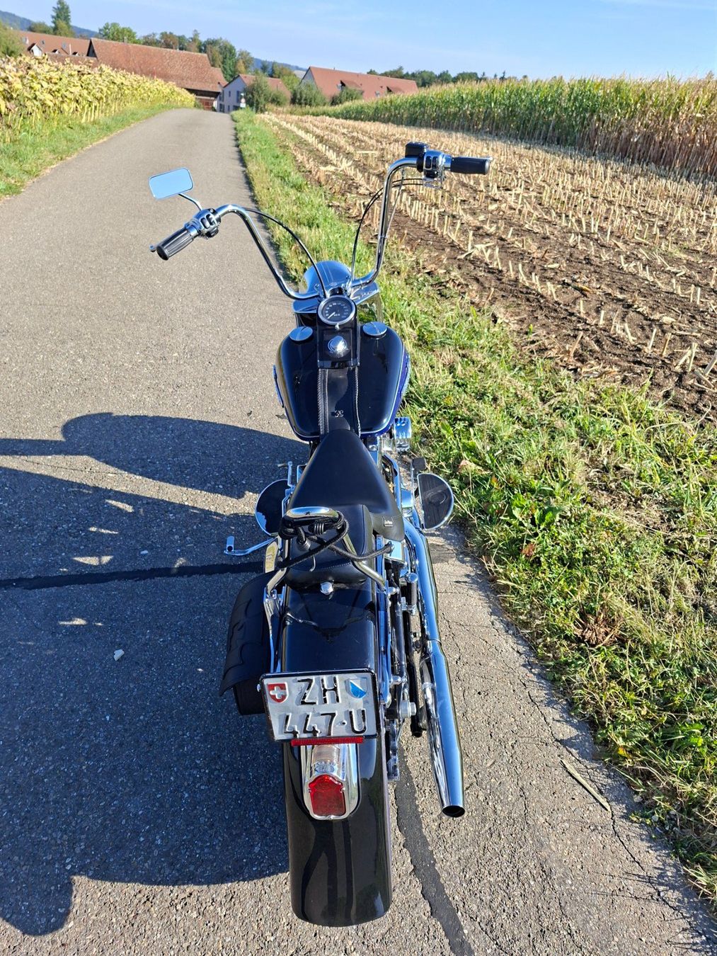 Harley-Davidson Touring: Harley Davidson Fat Boy  1340 Vergaser – Gebraucht aus Volketswil von LuckyandCandy 3