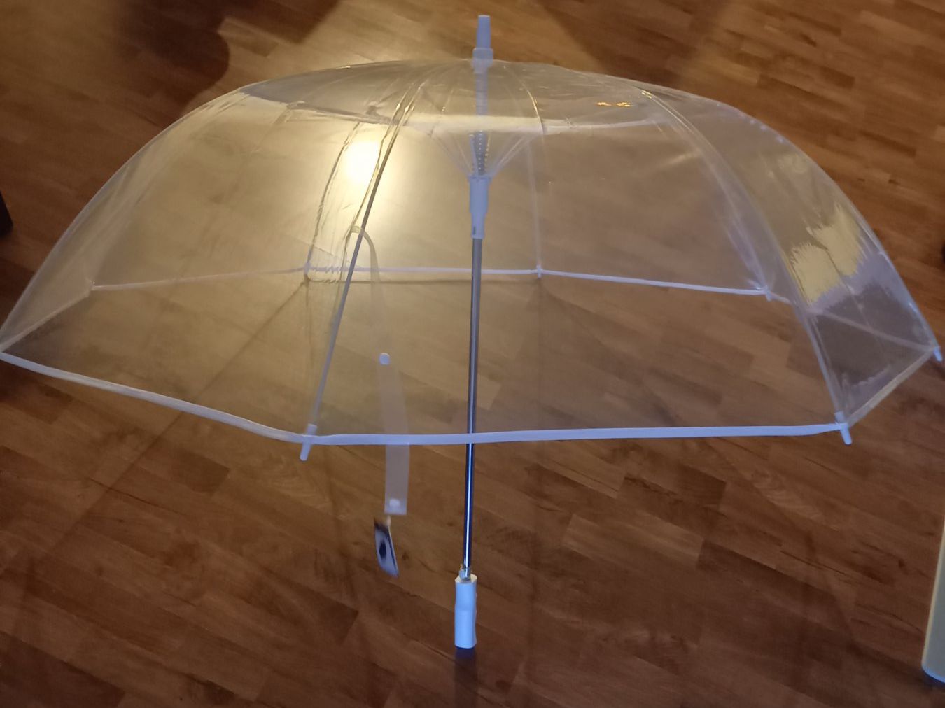 Regenschirme: Hochzeits-Regenschirm transparent 1.24m – Neu (gemäss Beschreibung) aus Teufen AR von ShelbyGT500SS 4