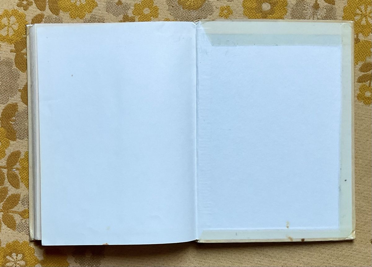 Libri: Fridolin Kinderbuch 1971 – Usato da Endingen venduto da nathan05 8