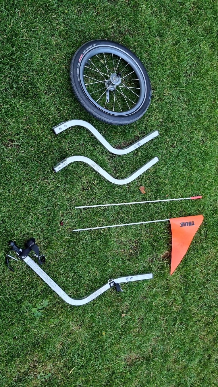 Thule Rimorchi: Thule Chariot CX2 mit Zubehör – Usato da Eglisau venduto da naminaso 6