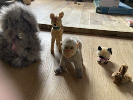 evtl. Steiff-Tiere, 5 Stk.,echt Fell, Sammlerstücke!