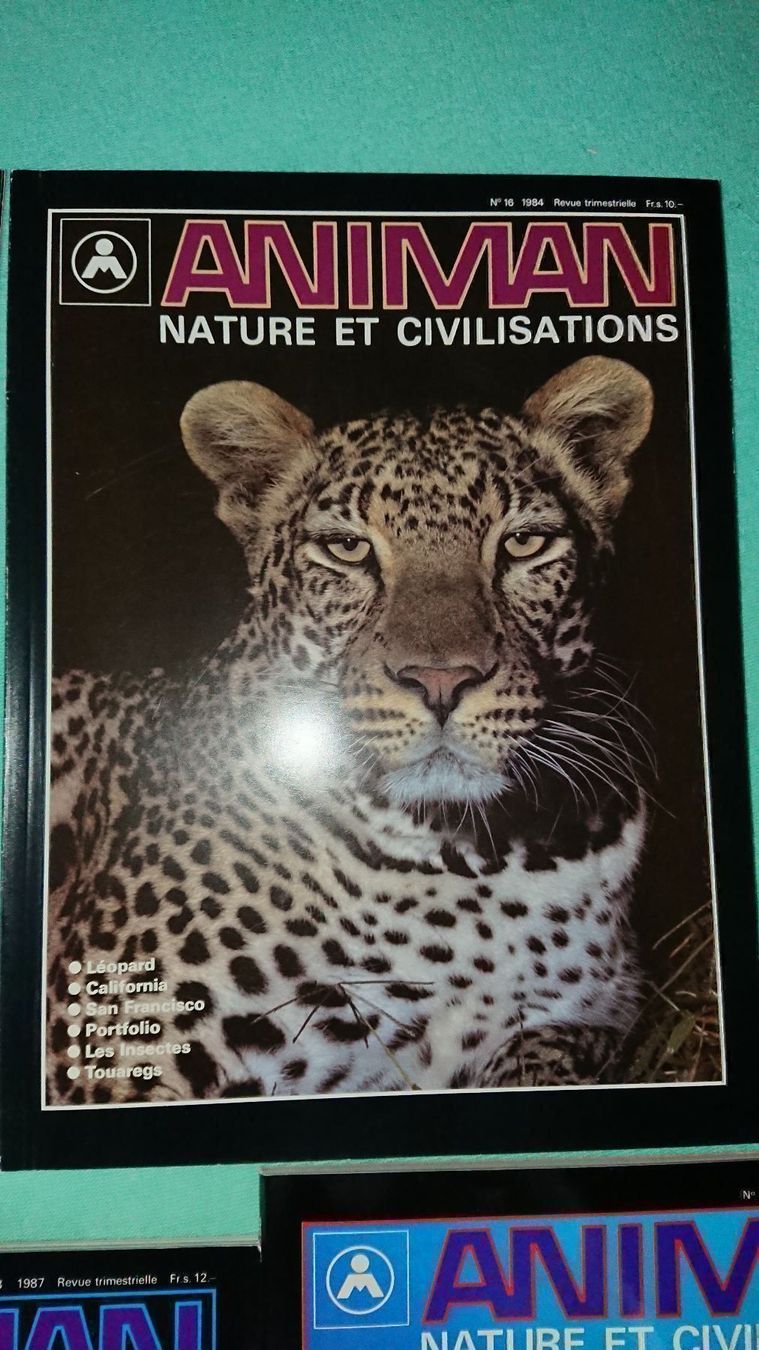Riviste & Magazine: Animan / 7 Magazines – Usato da Cortaillod venduto da signep 9
