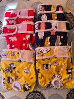 Hunde-Windeln für Weibchen