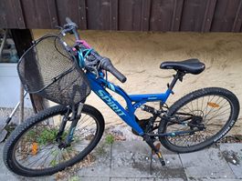 Mountain bike