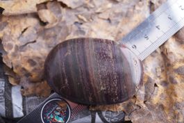 Tigereisen   Jumbo        60mm  Trommler      ab 5.-