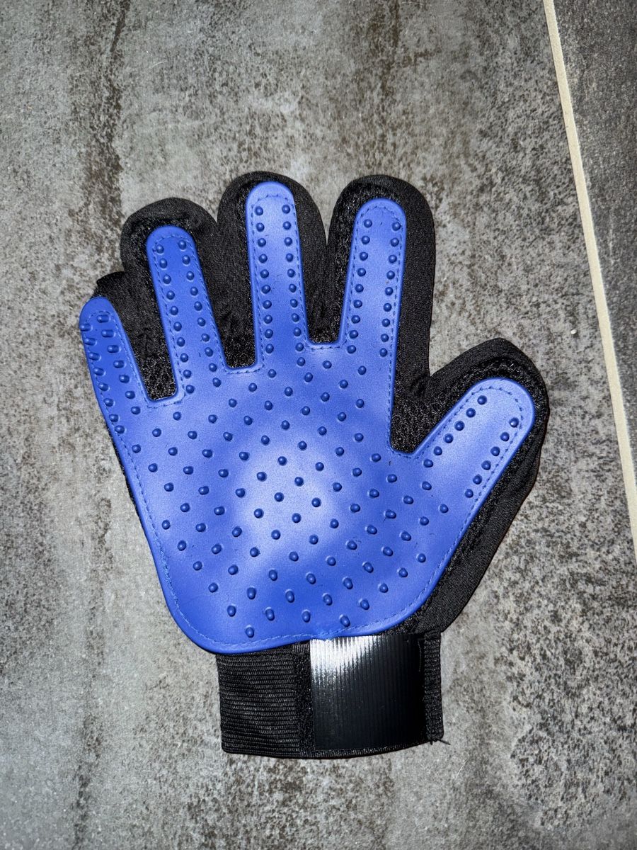 Abbigliamento: Haustier Pflegehandschuh – Nuovo e nell'imballaggio originale da Luzern venduto da vivientth
