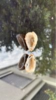 Paire de géodes en Quartz naturel – druse beige
