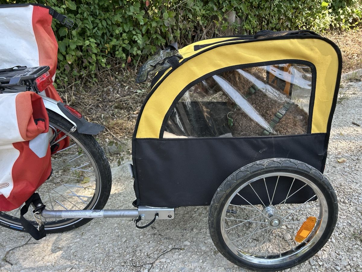 Anhänger: Fahrrad-Hundeanhänger – Gebraucht aus Oberentfelden von Haensu57 1
