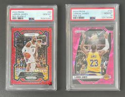 NBA LeBron James Prizm Parallel Red Sparkle Pink Ice PSA 10