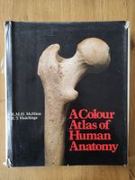 A Colour Atlas of Human Anatomy