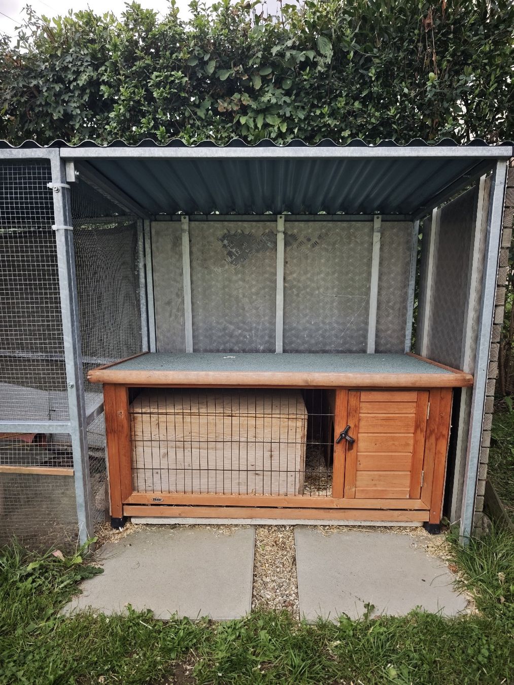 Gabbie, trasporto & Sicurezza: Tiergehege aussen – Usato da Wil SG venduto da Vatoloco10 8