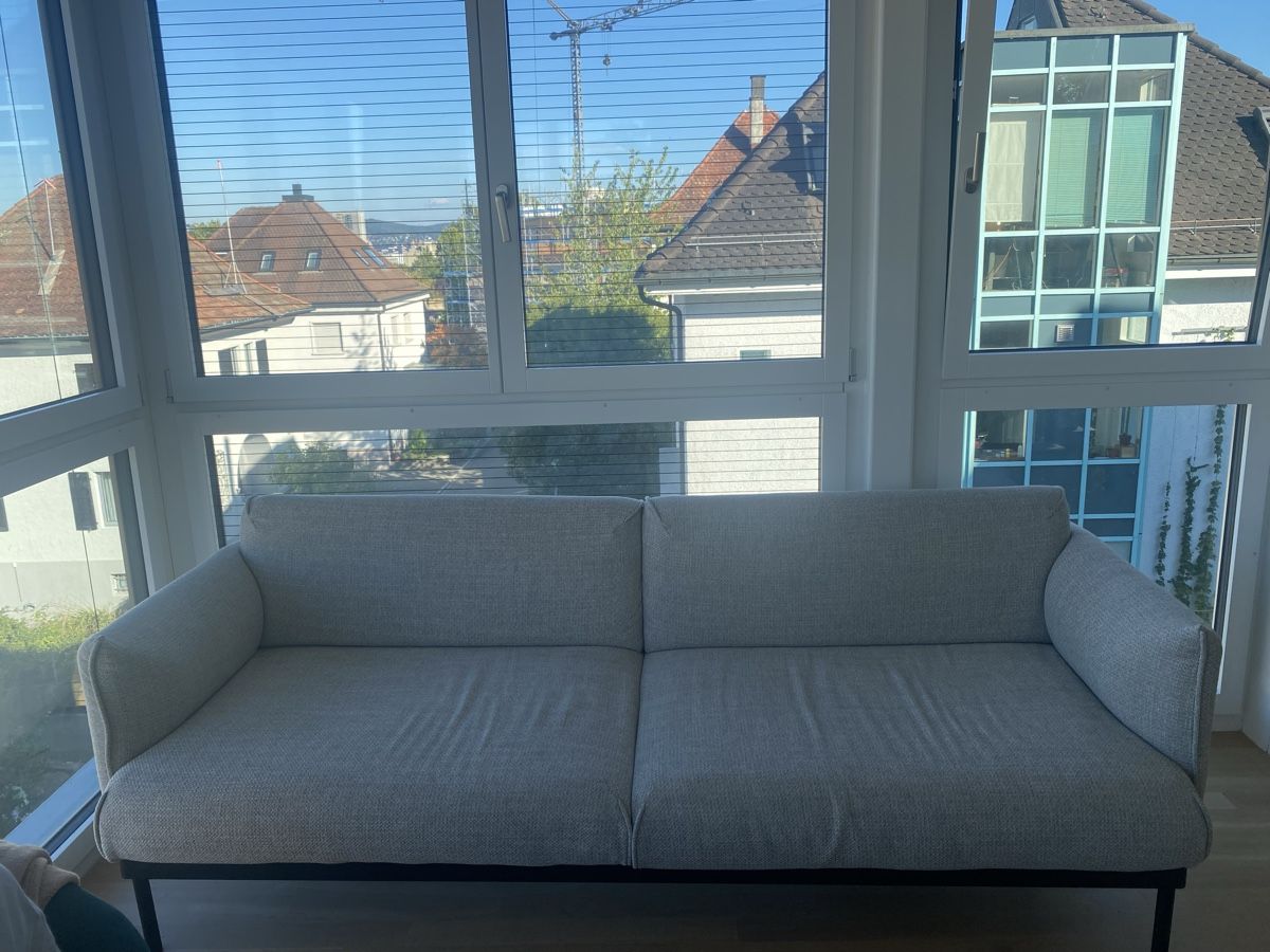 Ikea Sofas: ÄPPLARYD comfortable Ikea Couch – Gebraucht aus Zürich von nat_bm5y 1