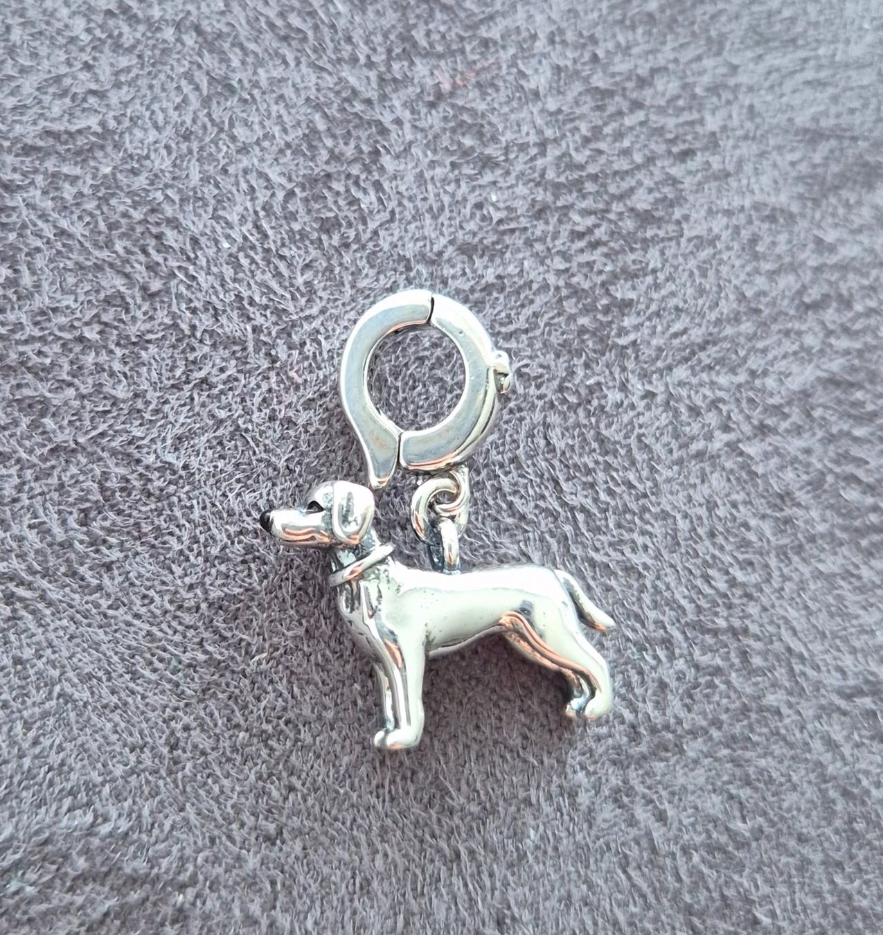 Ciondoli: Silber Charm Labrador Hund +Garantie – Nuovo (secondo la descrizione) da Rotkreuz venduto da Carbone_Bijou-Shop
