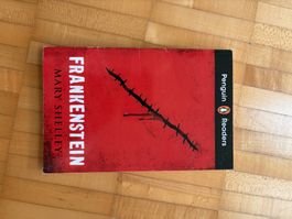 Frankenstein Buch englisch
