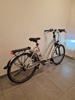 Top Flyer E-Bike