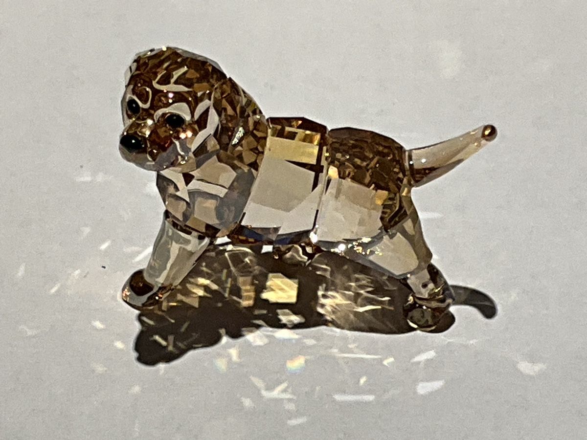 Swarovski Figuren: Swarovski Goldene Retriever  – Neu (gemäss Beschreibung) aus Oberglatt ZH von Multimix