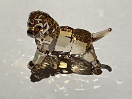 Swarovski Goldene Retriever 