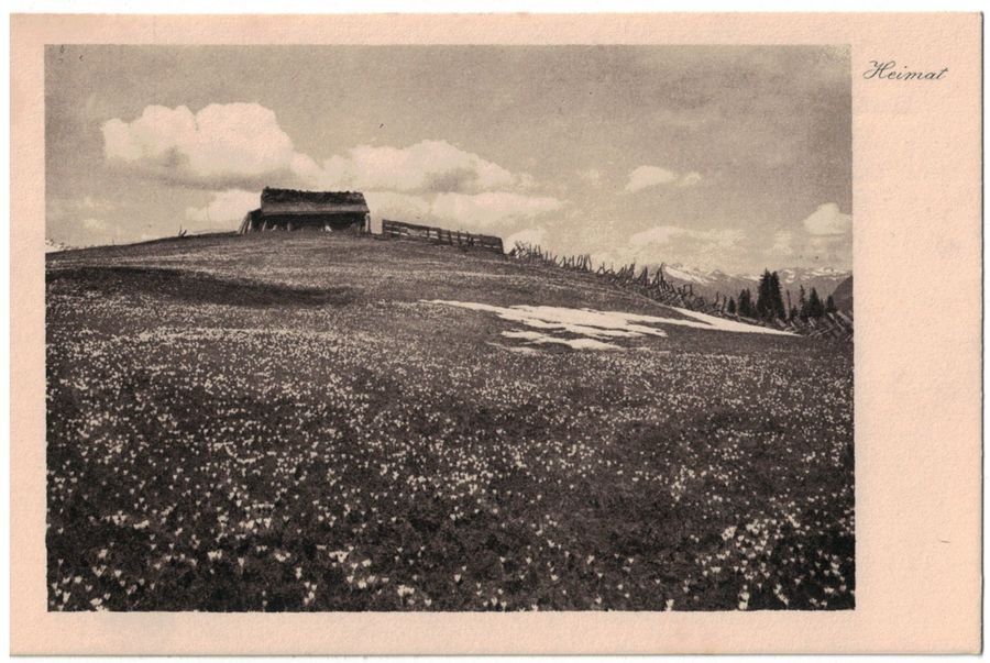 Cartoline postali: Scheune auf Hügel (Mischol) – Usato da Frauenfeld venduto da POML