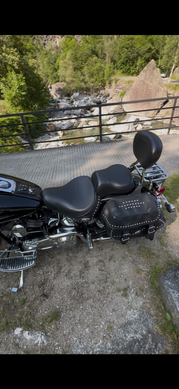 Harley-Davidson Chopper: Harley Davidson – Usato da Quartino venduto da vincent75hd 3