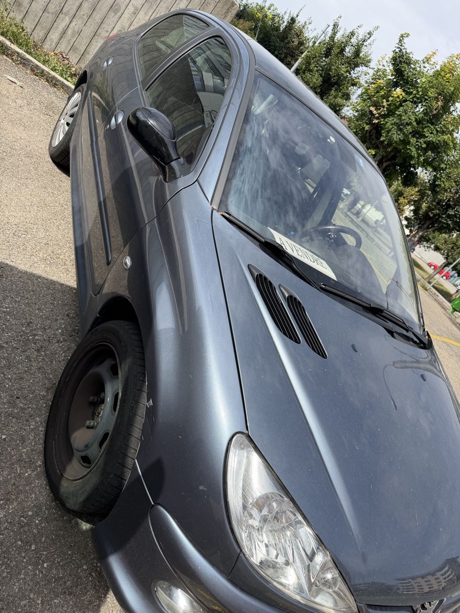 Peugeot Automobili: Peugeot 206 – Usato da La Chaux-de-Fonds venduto da Transportchezmax 8