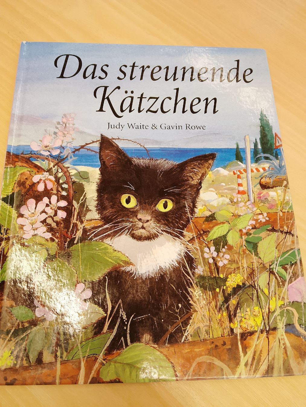 Bücher: Das streunende Kätzchen – Gebraucht aus Volken von katz5