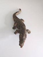 Schleich Krokodil