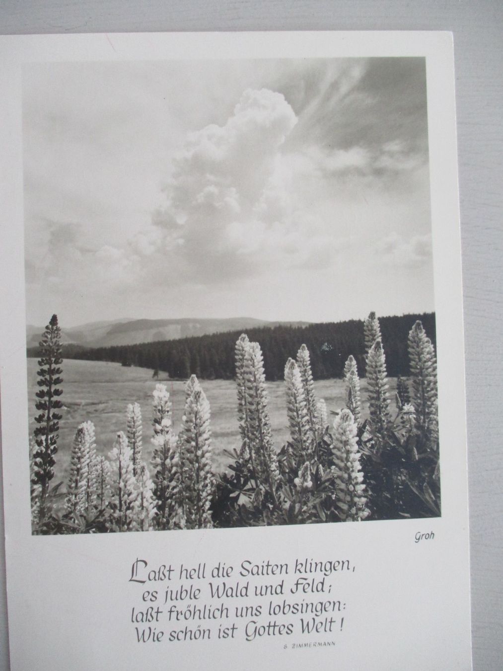 Cartoline postali: ALTE ANSICHTSKARTE VON 1955 – Nuovo (secondo la descrizione) da Buochs venduto da lisa010