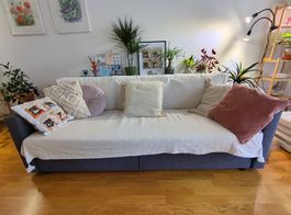 IKEA FRIHETEN Bettsofa