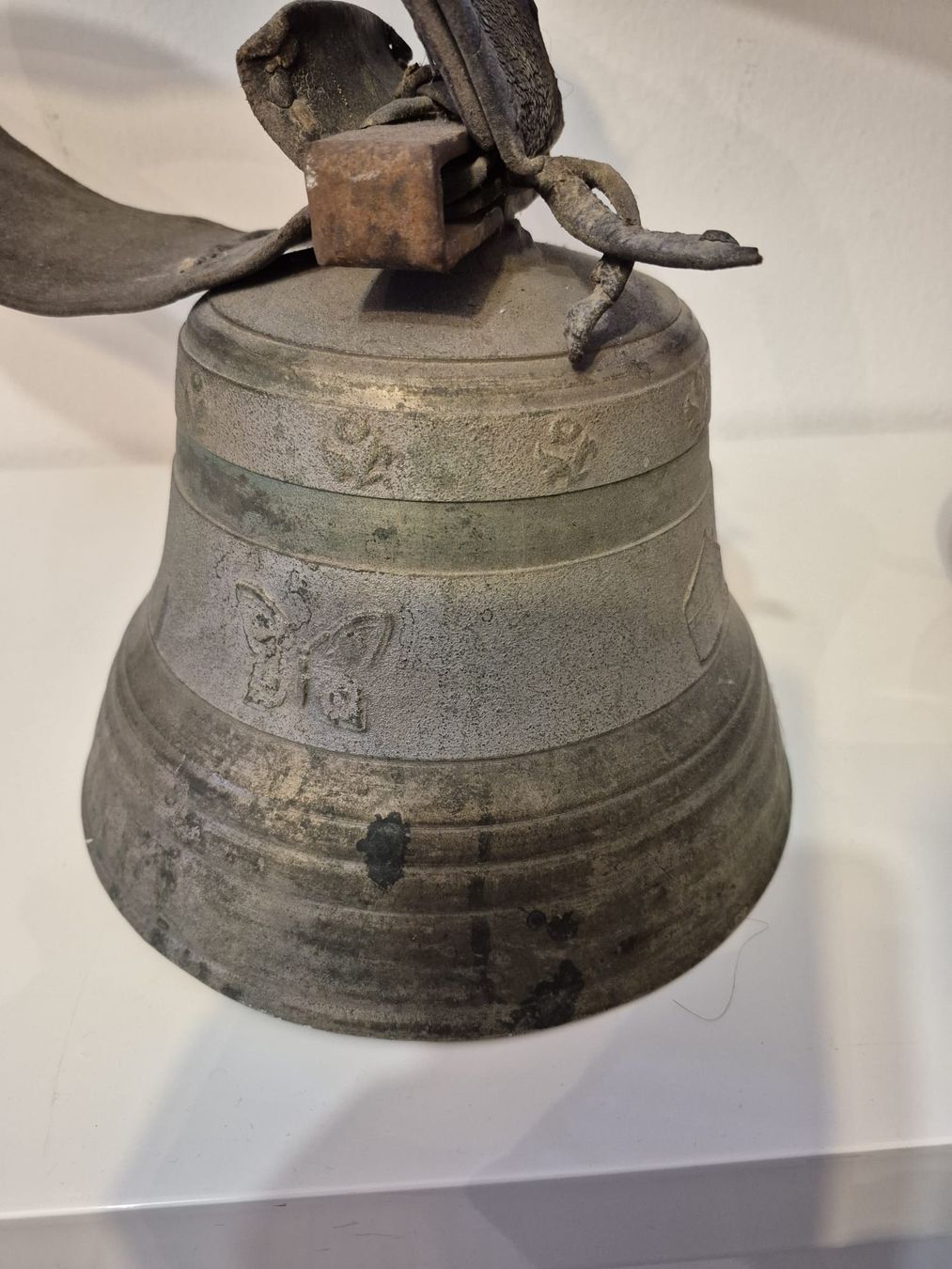 Campanacci mucche: glocke – Usato da Lengnau BE venduto da mar_75yj 1