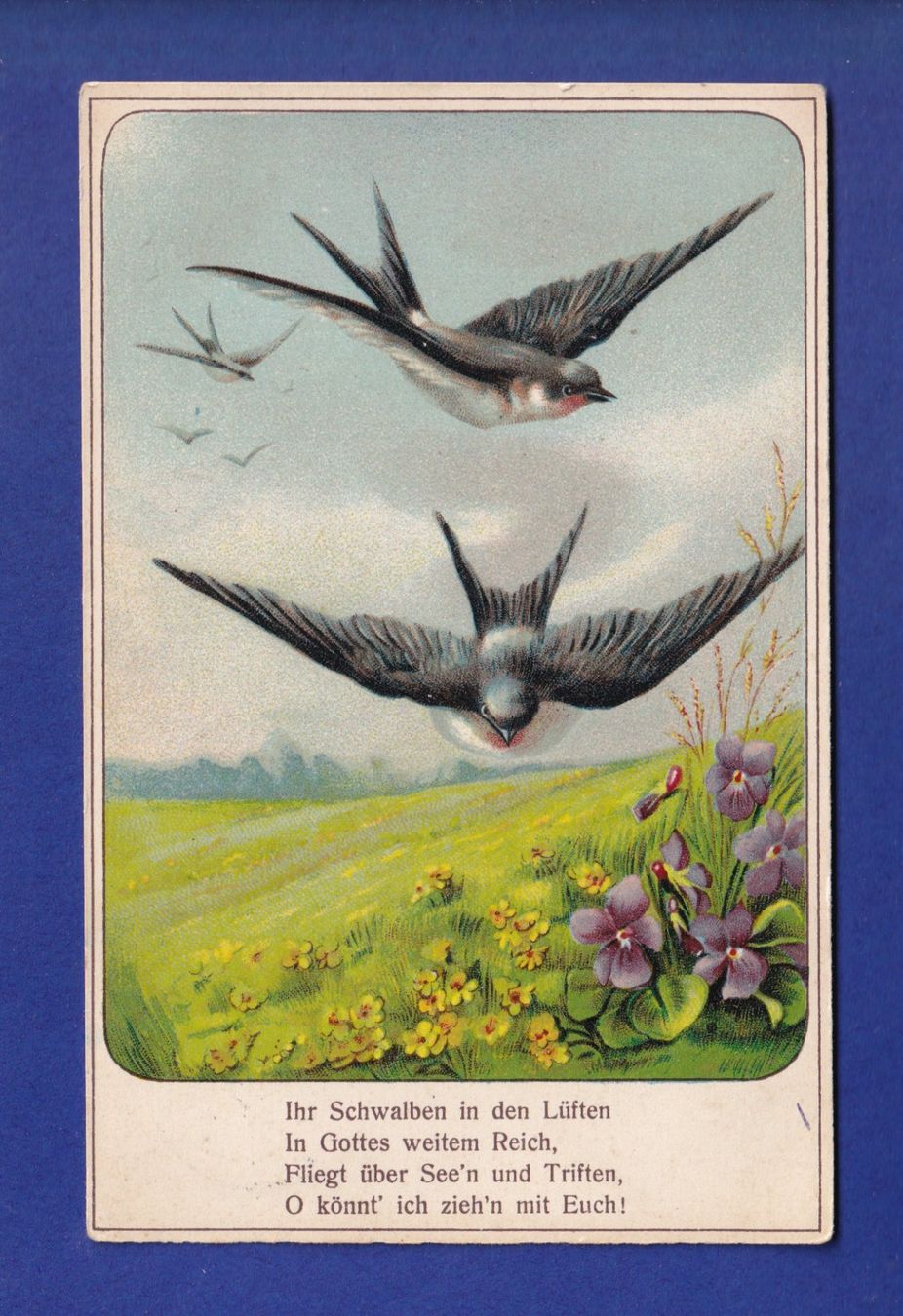 Cartoline postali: OISEAU - Hirondelles / Schwalben - Gedicht – Usato da Pully venduto da nicecards-shop