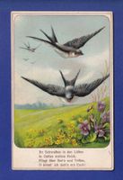OISEAU - Hirondelles / Schwalben - Gedicht
