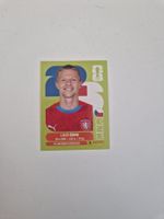 Panini Sticker CZE11