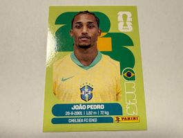 Pedro BRA16 - Panini CH Edition WM 2026